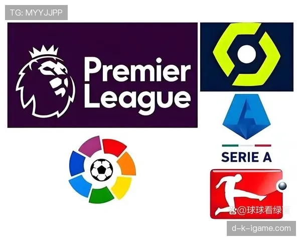 德甲球队转会细节:夏窗引援策略与阵容调整分析 德甲球队转会细节:夏窗引援策略与阵容调整分析